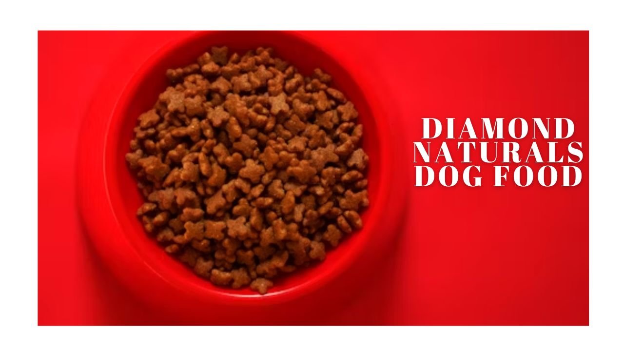 Diamond Naturals Dog Food